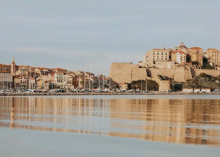 Calvi. T2 2/4 Personnes A 100 Metres De La Plage