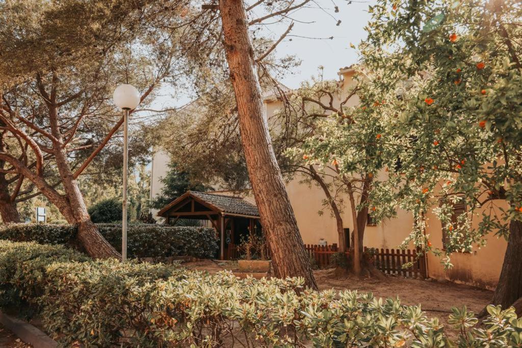 Apartment Calvi. T2 2/4 Personnes A 100 Metres De La
